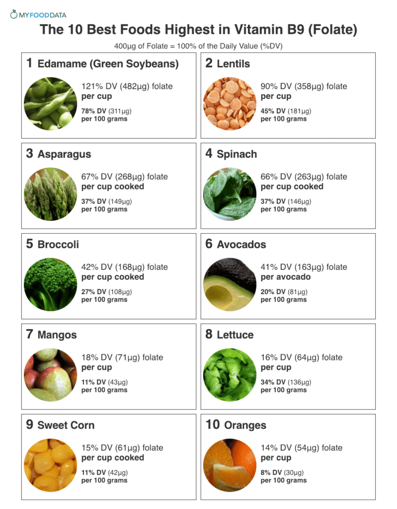 Folate vs Folic Acid - Simona